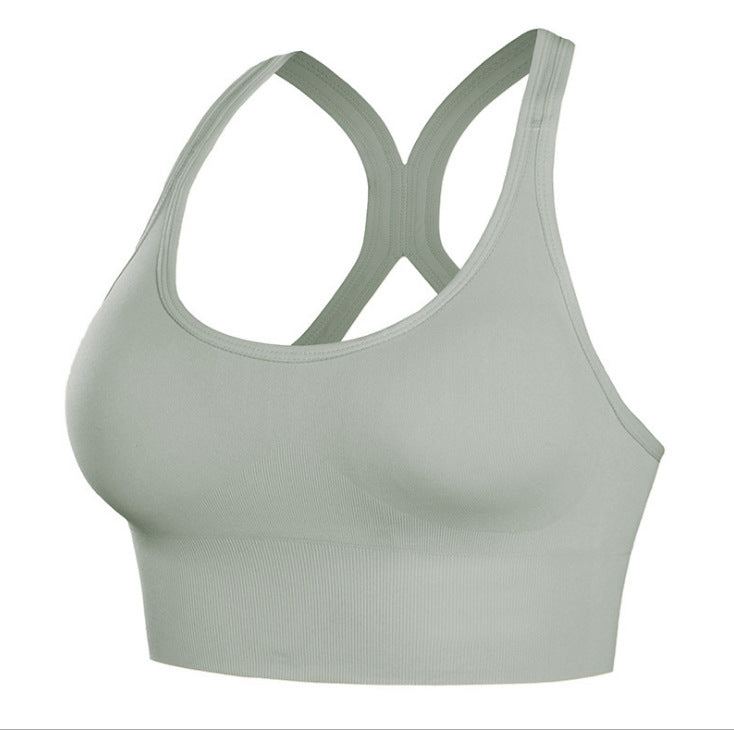 Padded Seamless Sports Bras for Women- Zus Desire