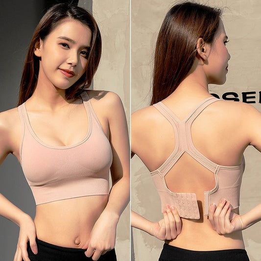 Padded Seamless Sports Bras for Women- Zus Desire